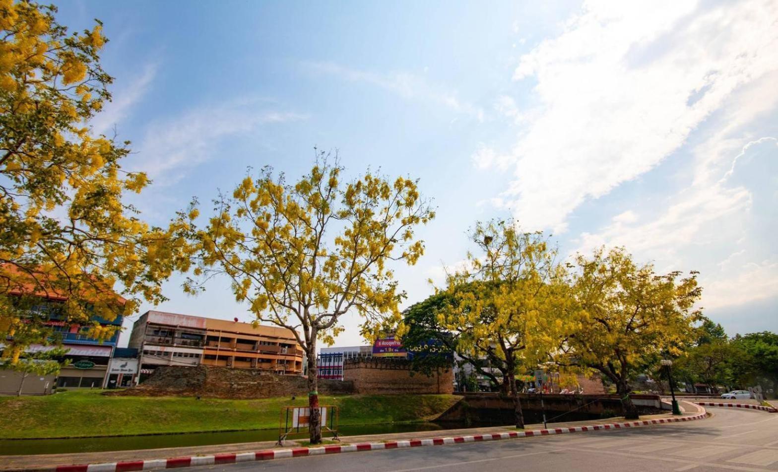 Icon Park Hotel, Chiang Mai- Sha Extra Plus Zewnętrze zdjęcie